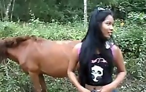Horse experiences