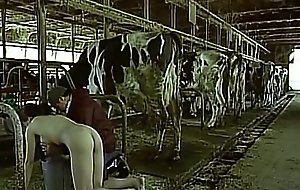 Asian woman pretending to loathing a cow milked him as an individual boobs